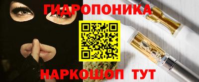 шишки Северобайкальск