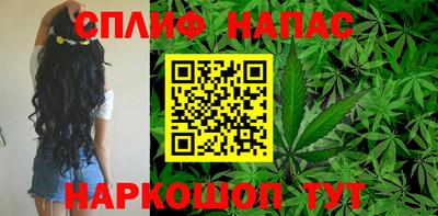 шишки Северобайкальск