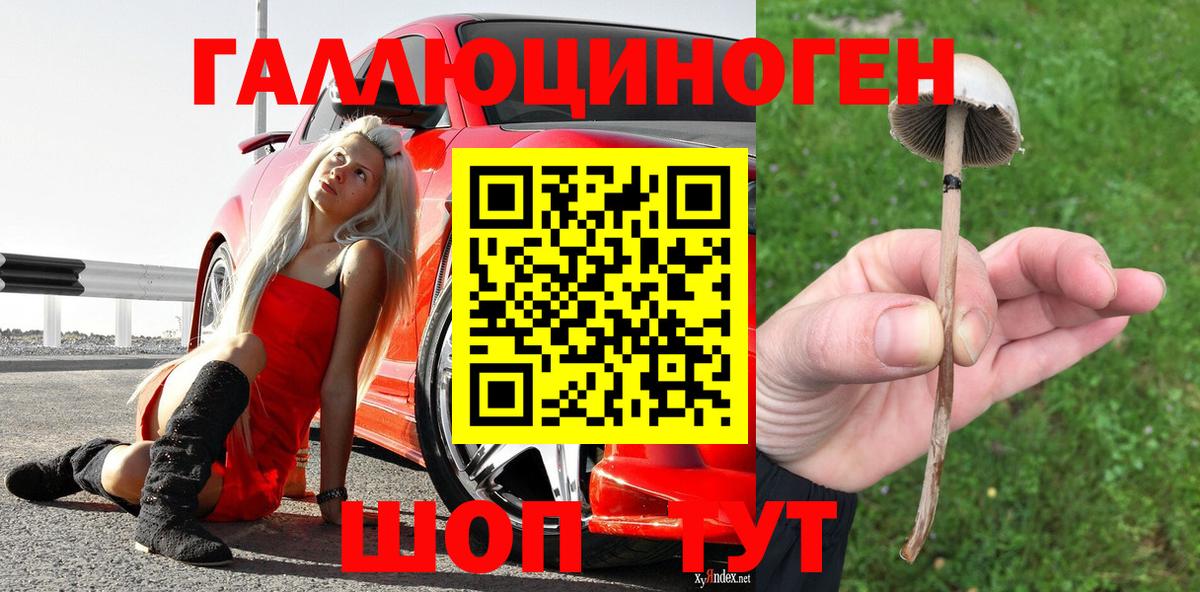 Галлюциногенные грибы прущие грибы Новый Уренгой