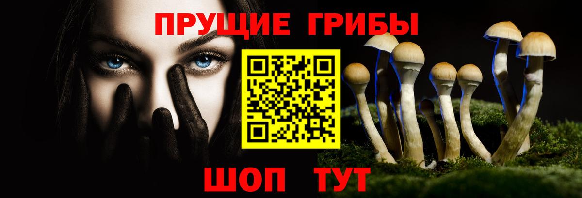 Новый Уренгой  где купить наркоту  Вход с VPN  Псилоцибиновые грибы GOLDEN TEACHER 